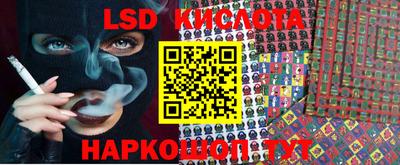 стаф Донской