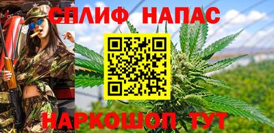 прущие грибы Дубна