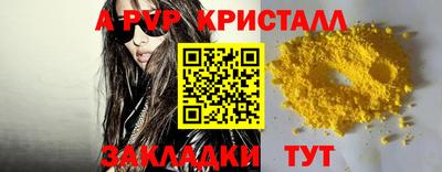 стаф Донской