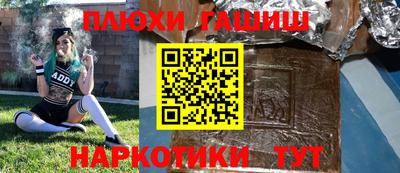 стаф Донской